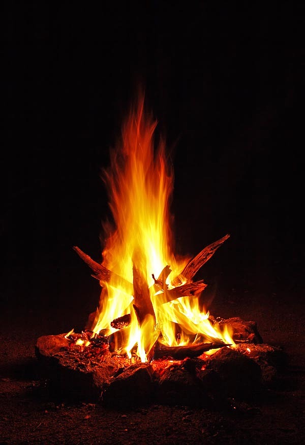 Изображение фото: Fotolia.com