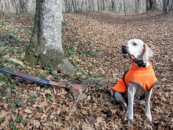 Изображение Фото: Сергея Матвеева 