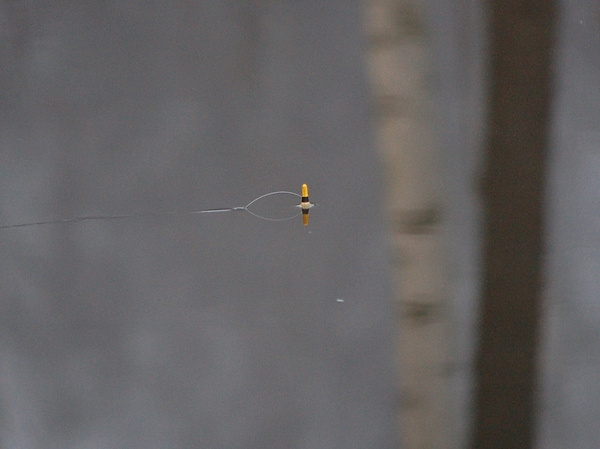 Изображение Фото: Яншевского Андрея.