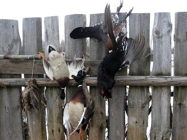 Изображение фото: Семина Михаила