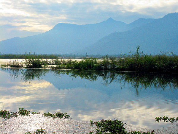 Изображение Днем я посетил цветочный фестиваль в одном из парков, затем пошел отведать жареных лягушек в забегаловку для простолюдинов. Фото: Горяйнова Алексея. 