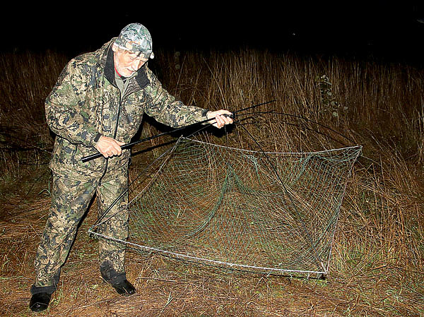 Изображение ФОТО SHUTTERSTOCK 