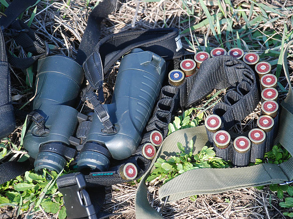 Изображение фото: Михаила Семина