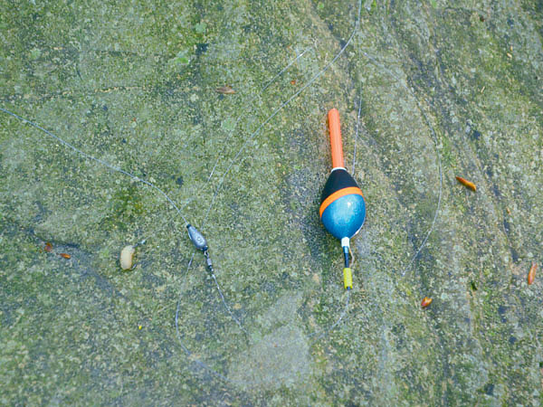 Изображение Фото: Шеляга Геннадия.