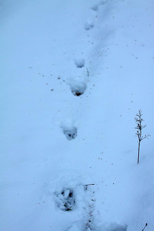 Изображение фото: Семина Михаила