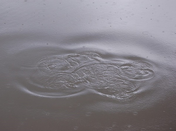 Изображение Фото: Яншевского Андрея.