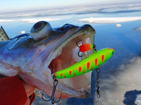 Изображение Фото: Алексей Коломиец.