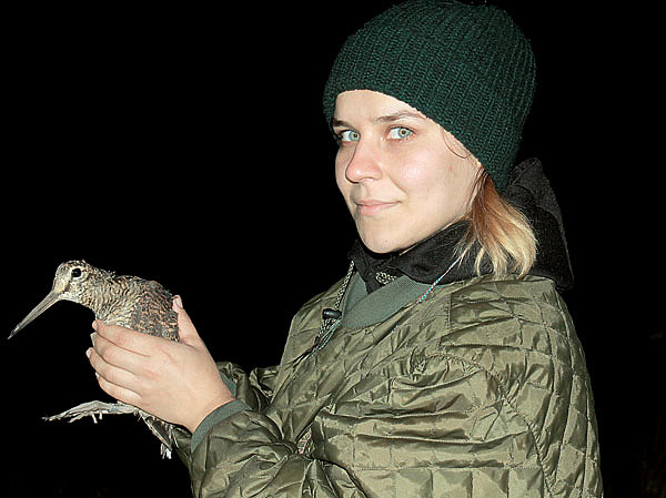 Изображение Фото Сергея Фокина. 