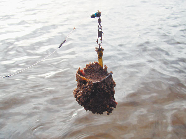 Изображение Фото: Линника Николая.