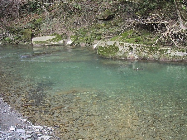 Изображение Фото: Шеляга Геннадия.