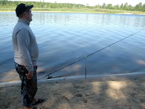 Изображение Фото: Токарева Александра.