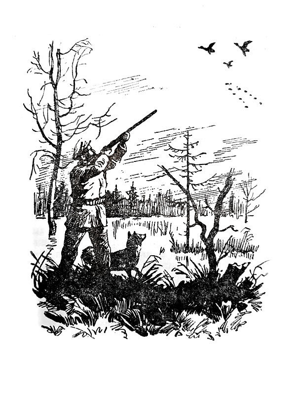 Изображение ИЛЛЮСТРАЦИЯ ИЗ АРХИВА ПАВЛА ГУСЕВА