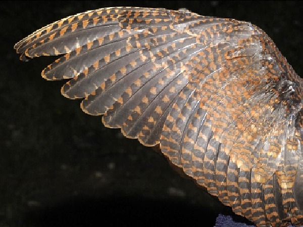 Изображение фото: Петра Зверева 