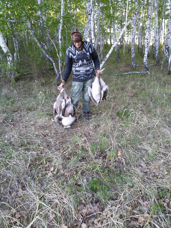 Изображение фото: Алексея Стефановича 