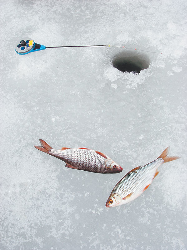 Изображение Фото: Анатолий Маилков.