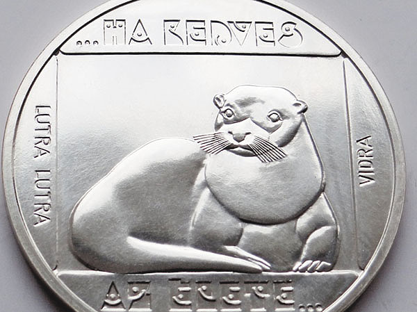 Изображение Фото автора. 