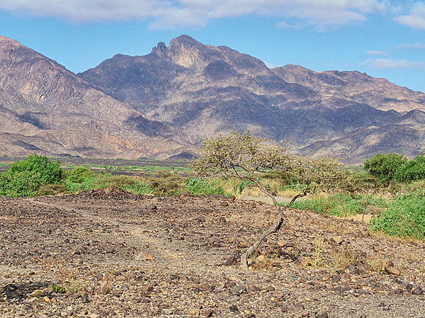 Изображение Горы Нубийской пустыни — место обитания козерогов. Фото автора.