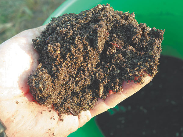 Изображение Фото: Николай Линник.