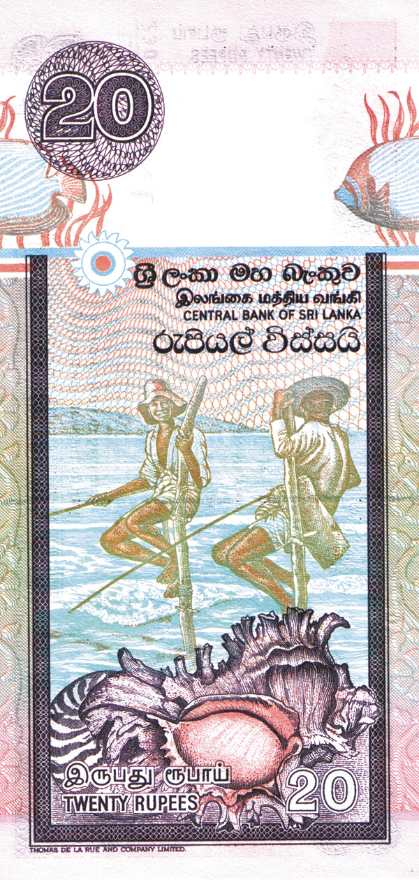 Изображение 17 