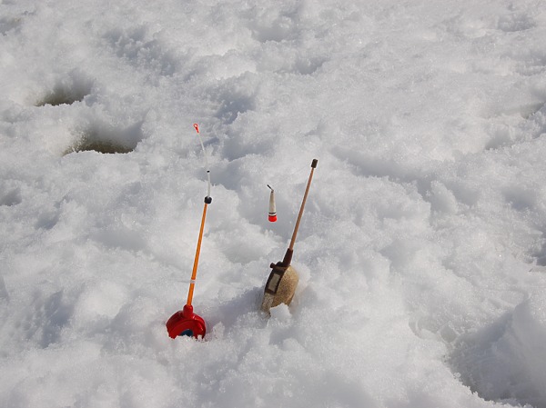 Изображение Фото: Яншевского Андрея.