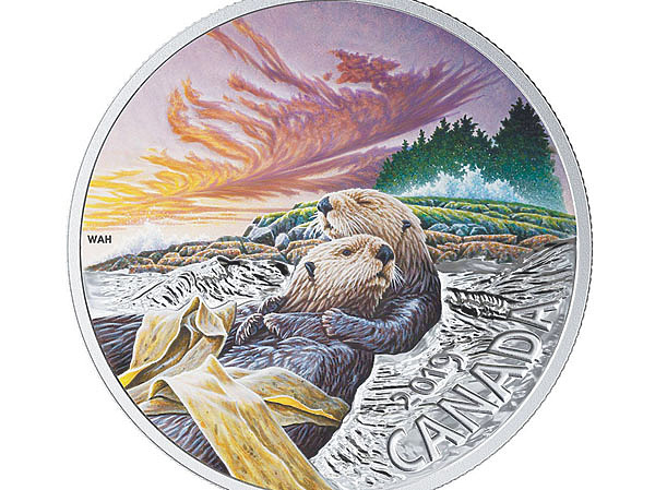 Изображение Фото автора. 