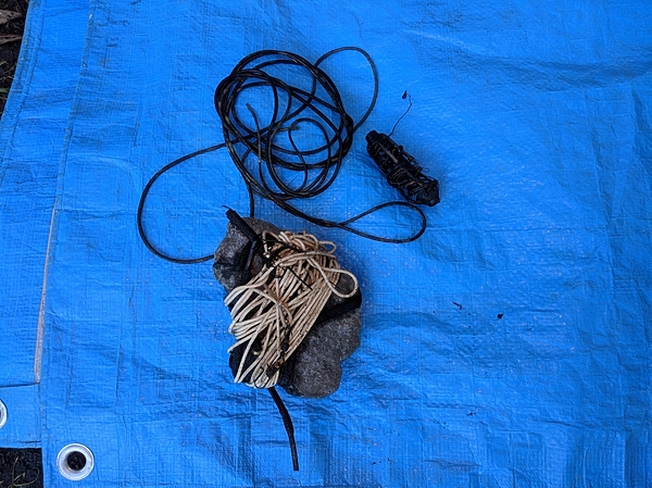 Изображение Первые трофеи. Фото: Трембицкого Алексея. 