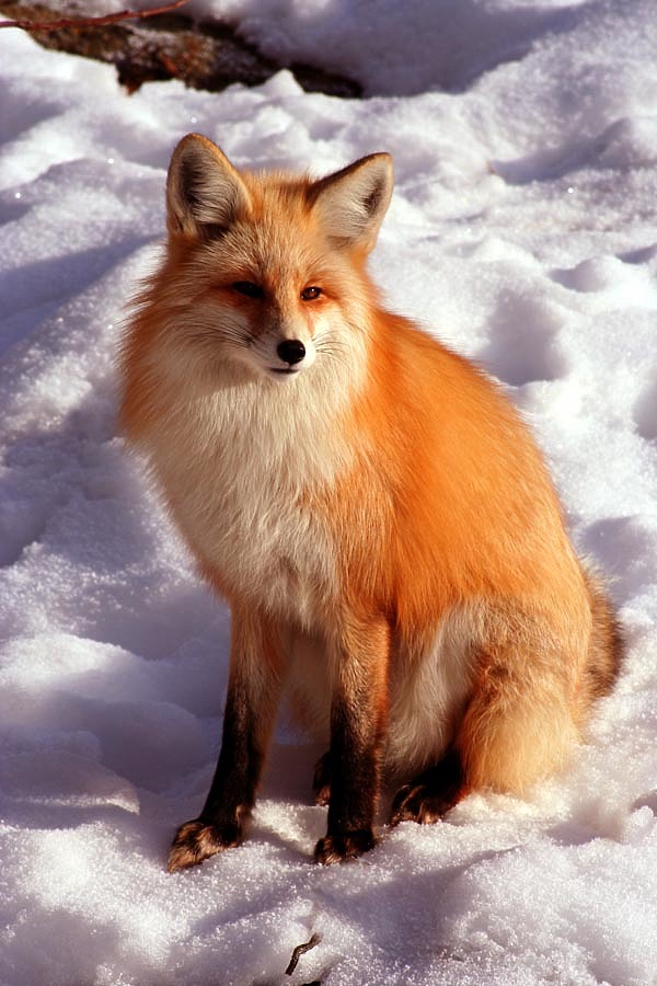 Изображение Фото: Fotolia.com