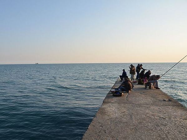 Изображение Фото: Шеляга Геннадия.