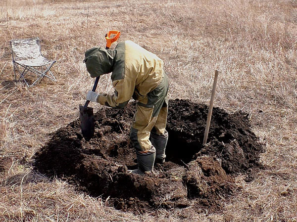 Изображение Окоп показался мне оптимальным решением. Фото автора. 