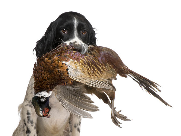 Изображение фото: Fotolia.com 