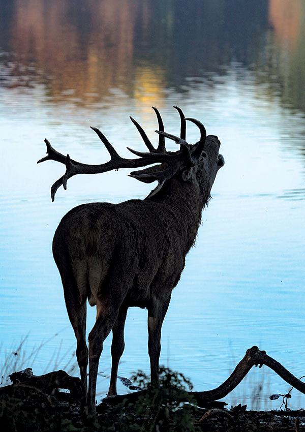 Изображение ФОТО UNSPLASH