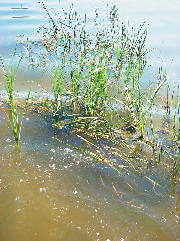 Изображение Фото: Анатолий Маилков.