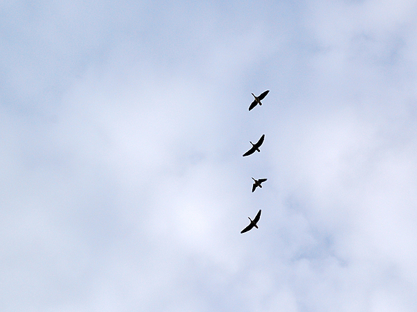 Изображение фото: Михаила Семина