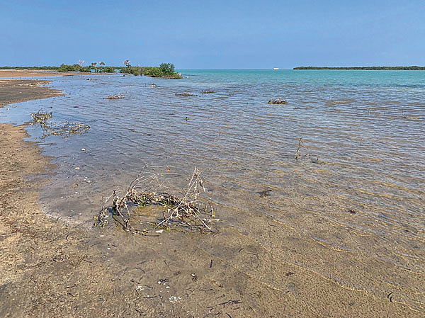 Изображение Суданское побережье Красного моря. Фото автора.