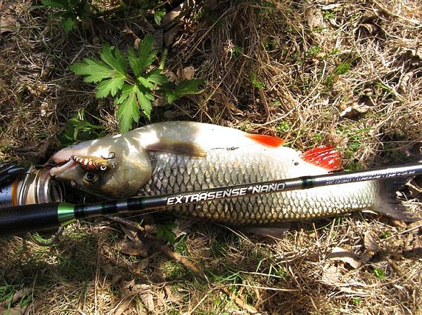 Изображение Фото: Алексей Коломиец. 