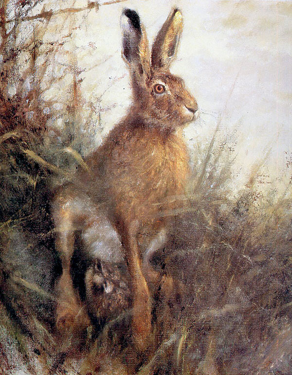 Изображение ИЛЛЮСТРАЦИЯ RIEN POORTVLIET 