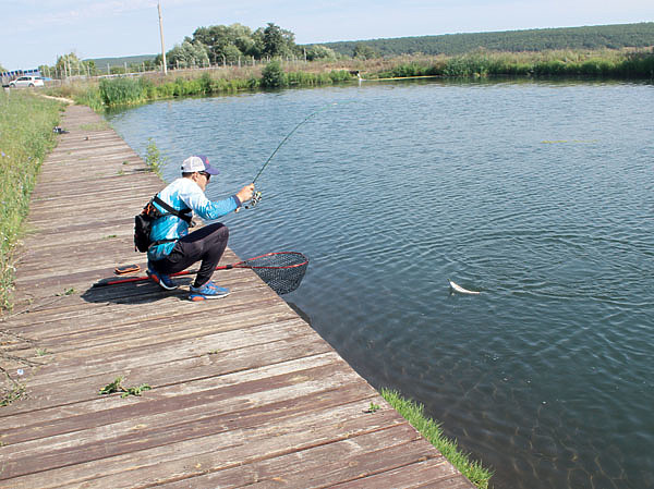 Изображение Нахлыст — это тот способ рыбалки, который часто применяют именно для ловли форели. Фото: Лебедева Николая.