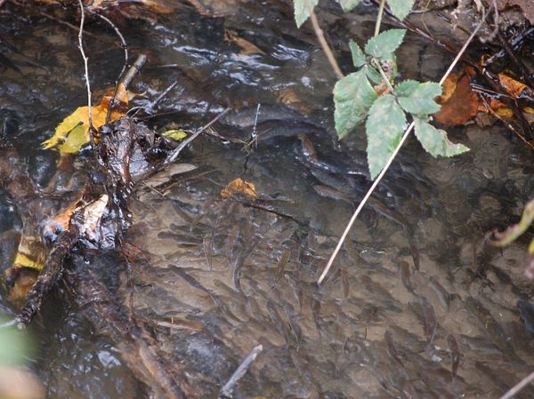 Изображение Фото: Андрей Яншевский.