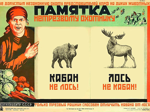 Изображение источник: shutok.ru