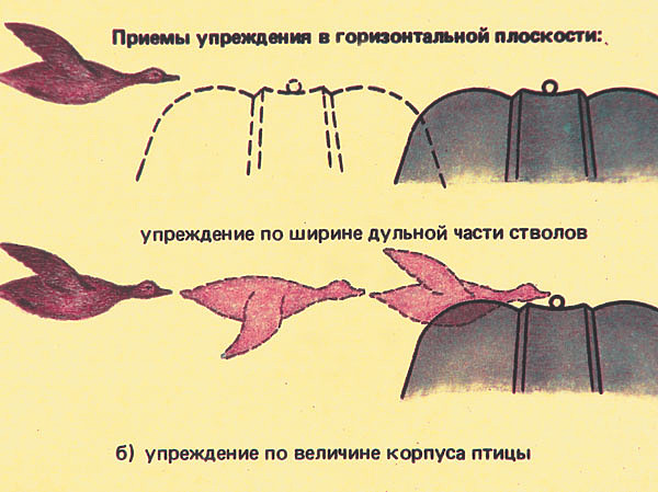 Изображение Фото Антона Журавкова