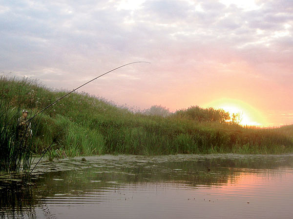Изображение Фото: Александр Токарев. 
