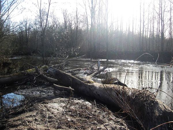 Изображение Фото: Александр Токарев.