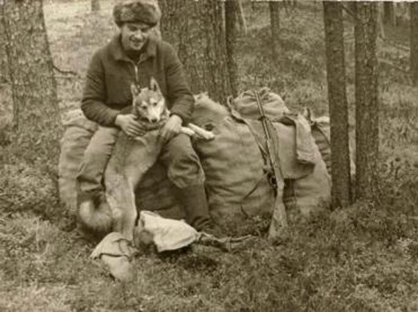 Изображение Кедровые шишки нужно, сначала, сбить с кедра, потом собрать вот в такие мешки, и только потом обрабатывать, - добывать сами орешки