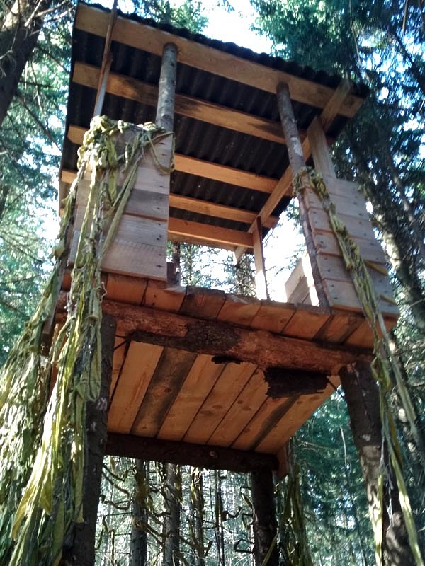 Изображение фото: Никонова Павла