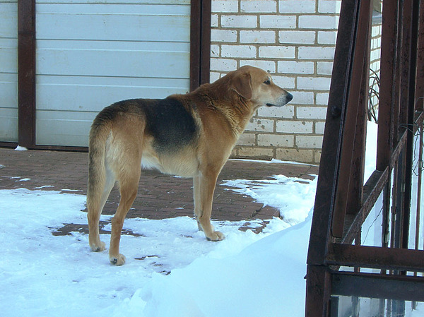 Изображение фото: Валентина Бодункова