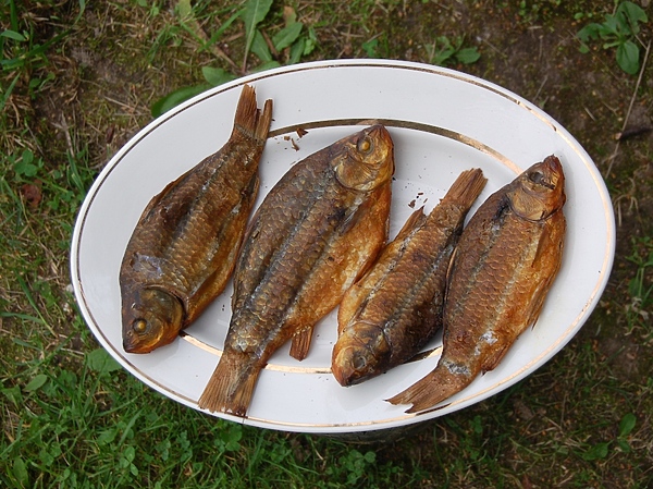 Изображение Фото: Андрей Яншевский.