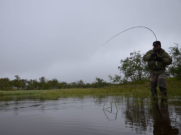 Изображение Фото: Геннадий Шеляг. 