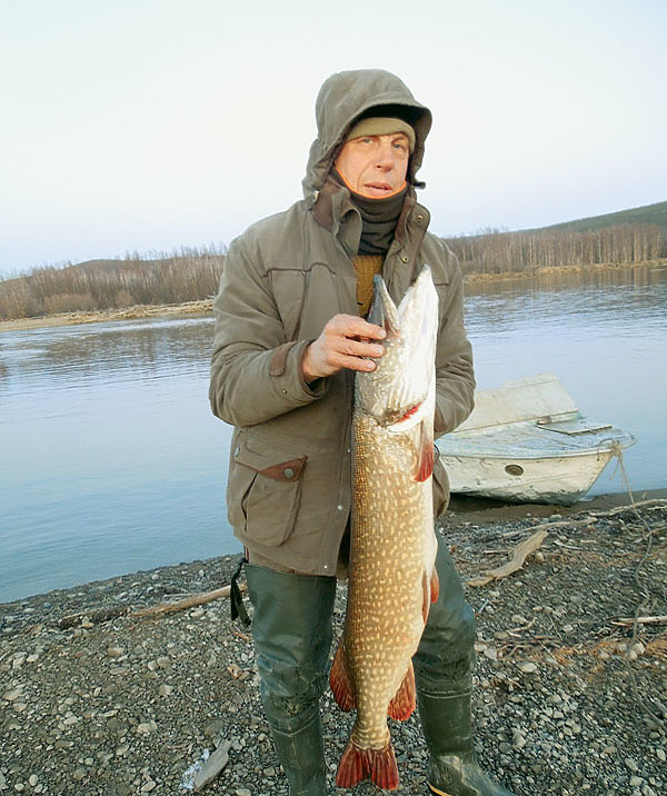 Изображение В чукотских реках водится много крупной щуки. Фото: Встовского Дмитрия.