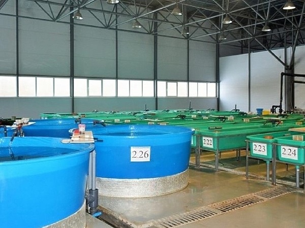 Изображение Фото: ВНИИПРХ.