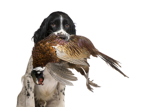 Изображение фото: Fotolia.com